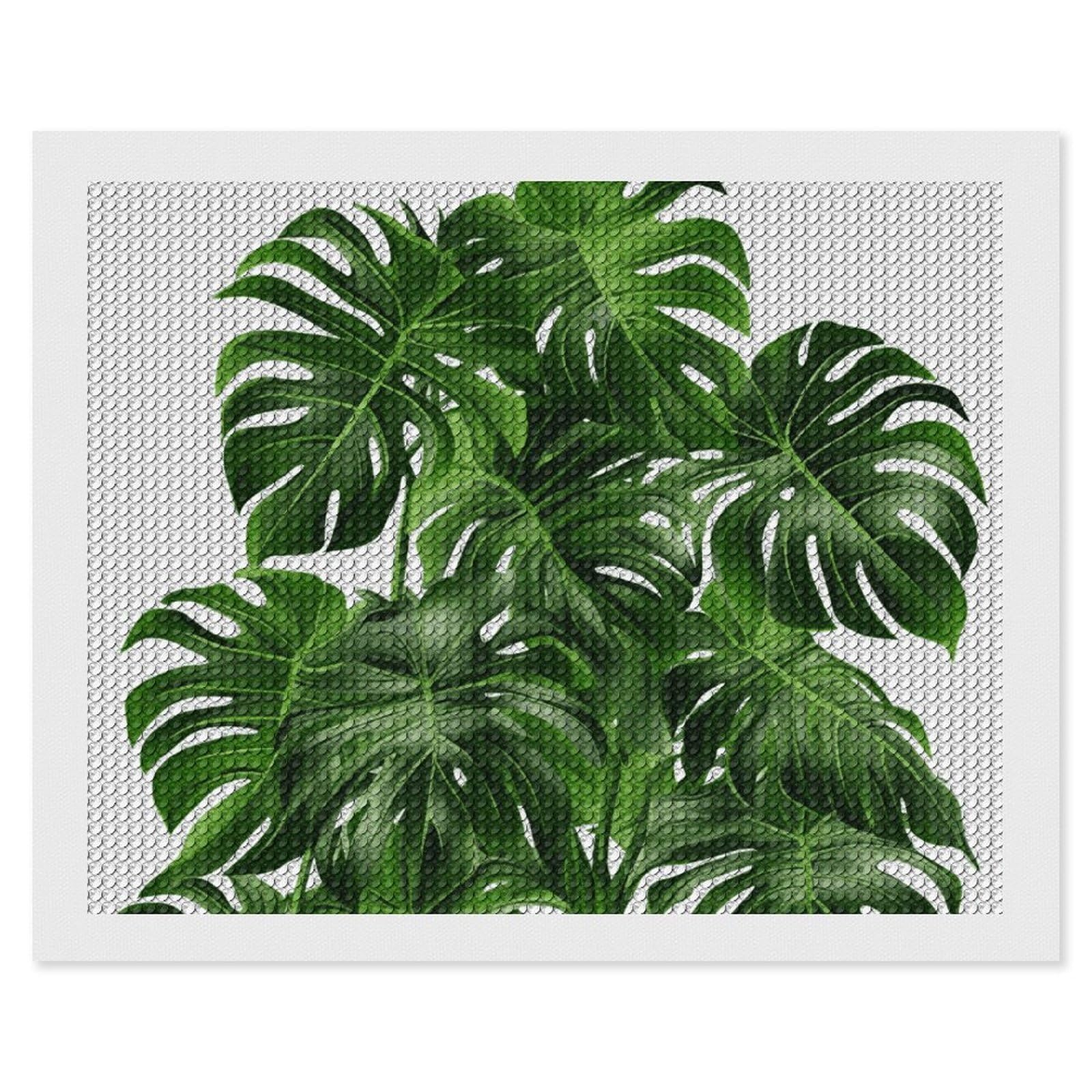 Diamond Painting Kits for Adults - DIY Diamond Art Kits for Beginners - Full 5D Paint Drill Diamond Dots Paintings- Monstera Deliciosa Banana Palm Diamonds Pictures Gem Art And Craft Wall Decor 16"x20