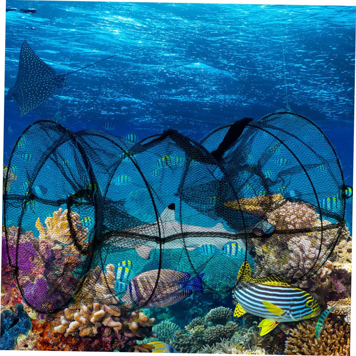 Fishing Traps for Freshwater Saltwater Durable Material Portable Design Spring Loaded Mechanism for