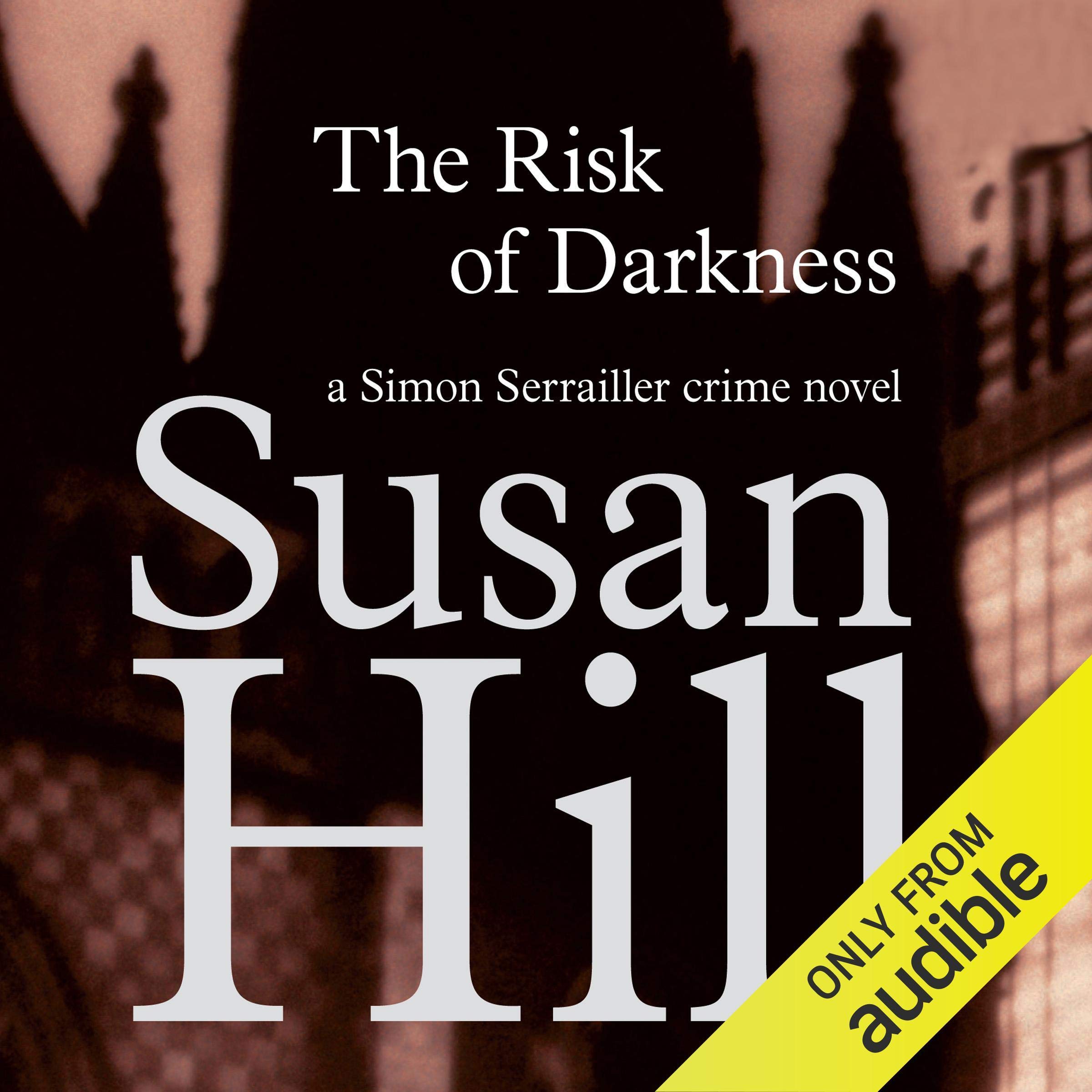 Cover art for The Risk of Darkness