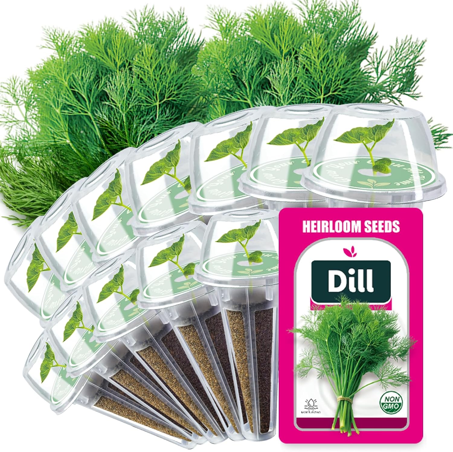 Dill Seed Pods - Honest Review 2 Dill Seed Pods for All Hydroponics Growing Systems, 12 Pods Herb Kit with 400+ Seeds of Dill, Grow Your Own Herb Garden at Home