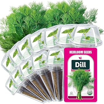 Dill Seed Pods for All Hydroponics Growing Systems, 12 Pods Herb Kit with 400+ Seeds of Dill, Grow Your Own Herb Garden at Home