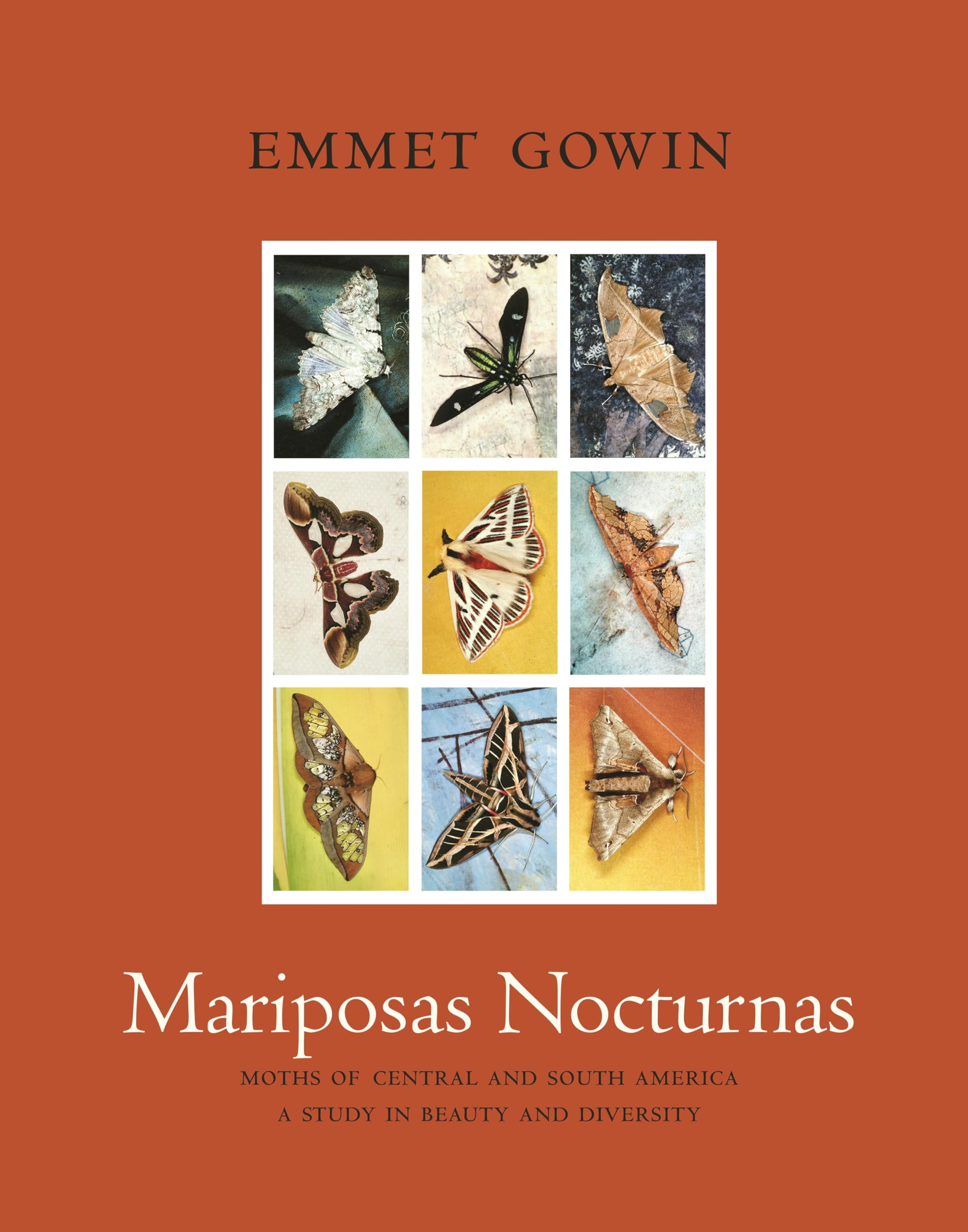 Mariposas Nocturnas: Moths of Central and South America, A Study in Beauty and Diversity