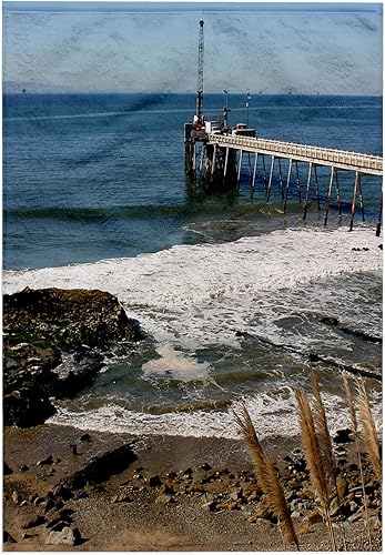 3dRose 15x22 Hand Towel - The Carpinteria Pier Near The Carpinteria Harbor Seal Rookery. Designs - Animal