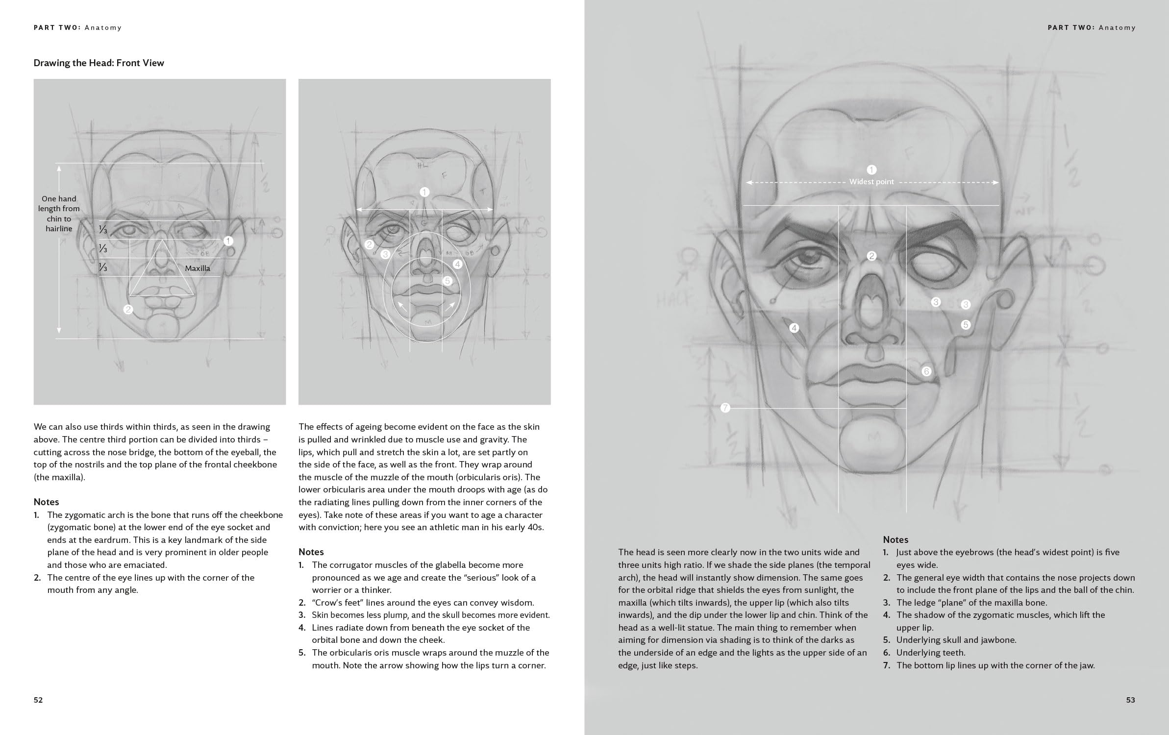 The Anatomy of Style: Figure Drawing Techniques