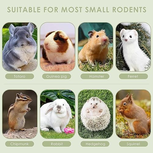 Miniatura 7 de ERKOON Timothy - Palitos de heno, juguetes masticables de conejo para dientes, palitos molares naturales, golosinas para conejitos, conejillos de