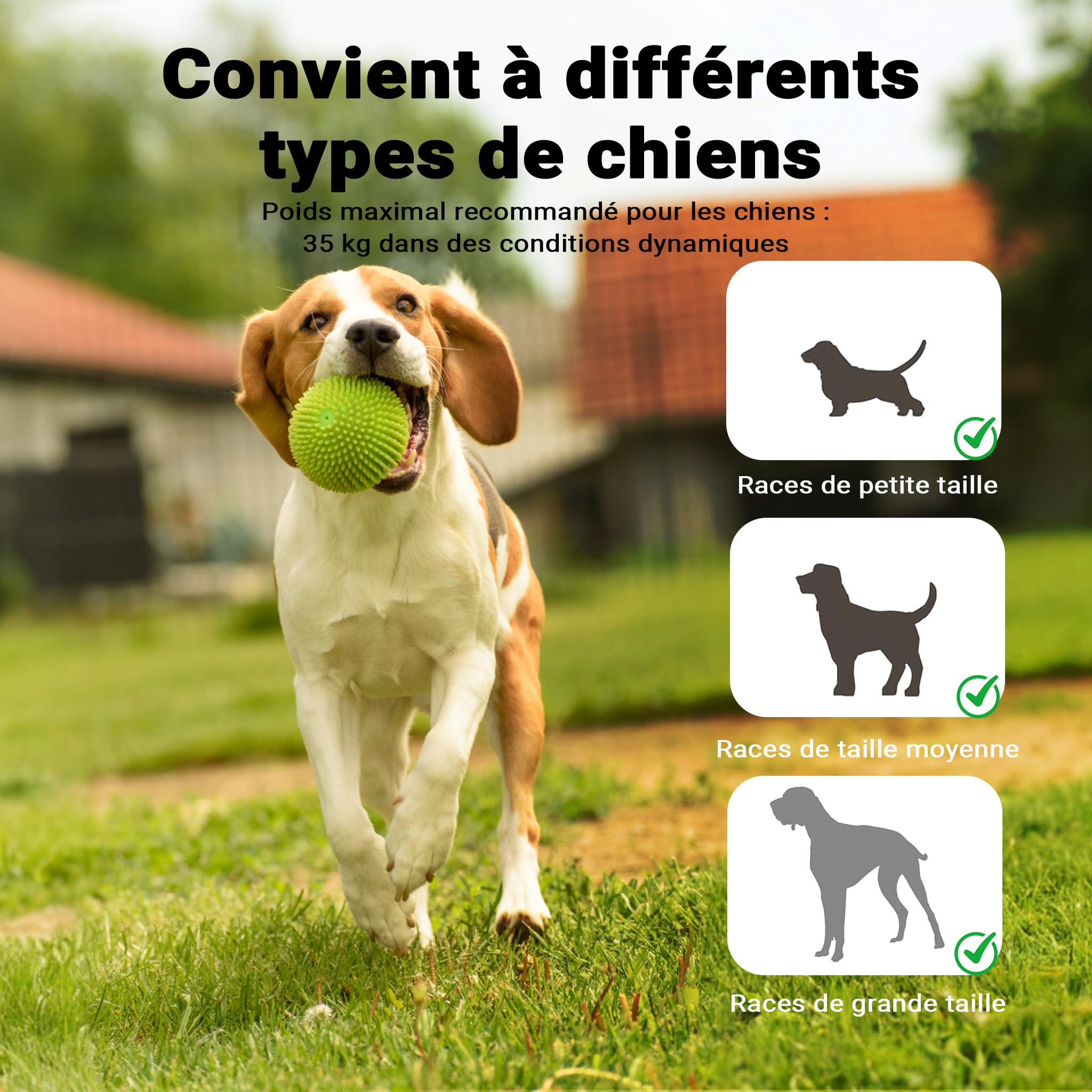 Wiltec Bascule Balançoire pour Chien – 1800 x 300 x 300 mm – capacité de Charge Max. 50 kg – Tapecul Jouet pour Chiots Sport canin Matériel d'Agility Entraînement