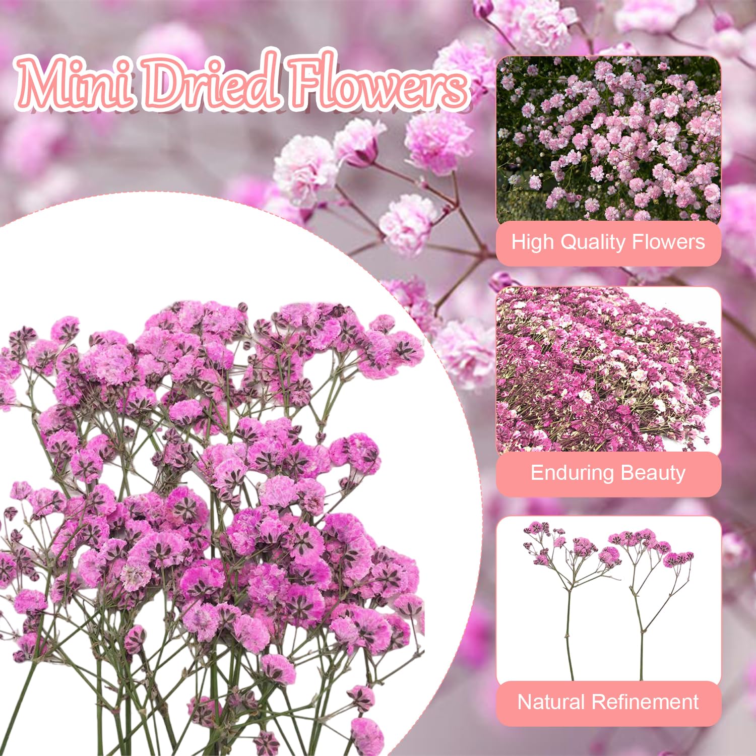 Trockenblumen Schleierkraut Yuannee Getrocknetes Schleierkraut – 100 Stiele Natürliche Trockenblumen, Weiß, 5–10 Cm, Gepresst, Für Hochzeitsdeko, DIY-Kunst, Harz & Wohnaccessoires