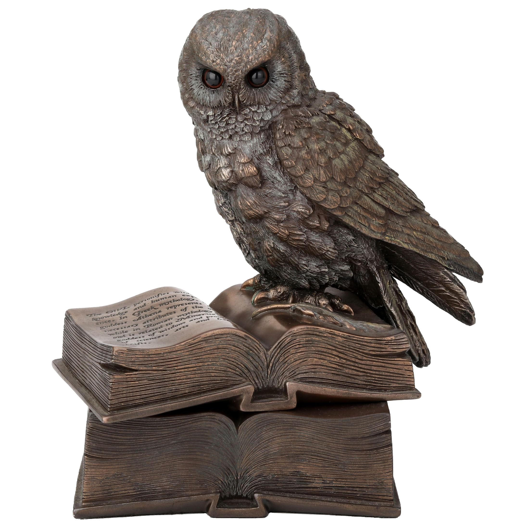 Boîte à bijoux chouette sur grimoires déco de bibliothèque résine