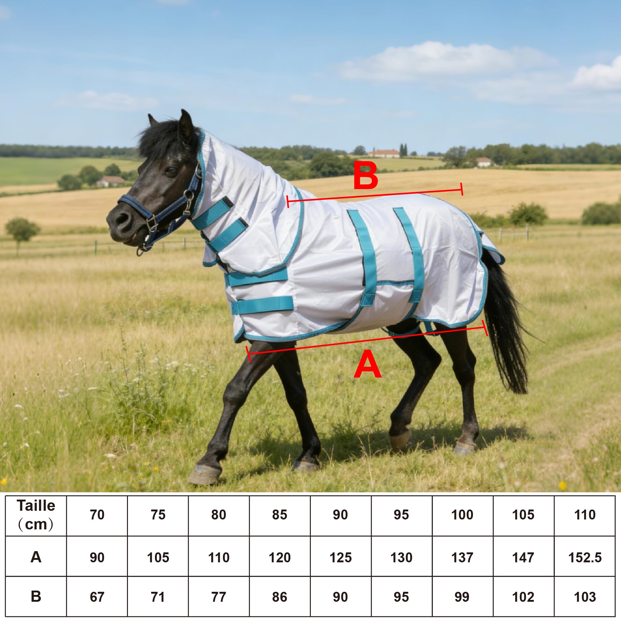 Manta antimoscas para mini caballo, pequeño pony, con tapa para cuello y banda vientral, extraíble, protección UV, malla ligera y transpirable, para burro, miniatura, potro destetado