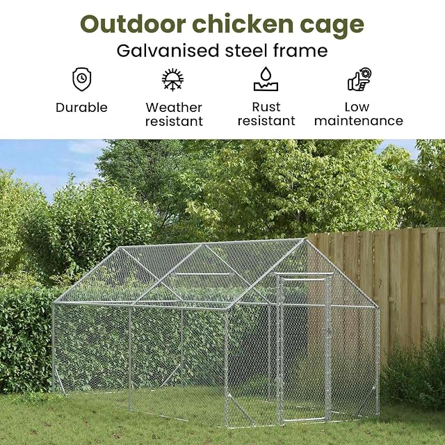 Foto 4 de 8 de vidaXL Jaula para Pollos Plateado 400 x 170 x 177 cm Acero Galvanizado