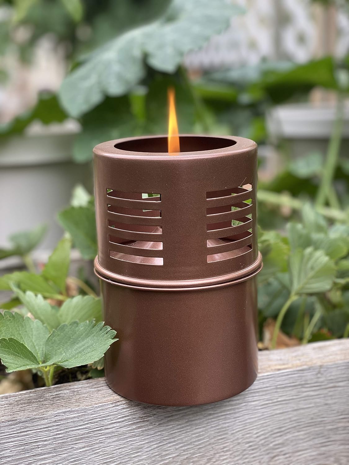 Torch Tabletop Oil Lamp Copper Stainless Steel Metal Wind Shield with Extra Fiberglass Wick with Safety Lock Wick Protection Child Guard
