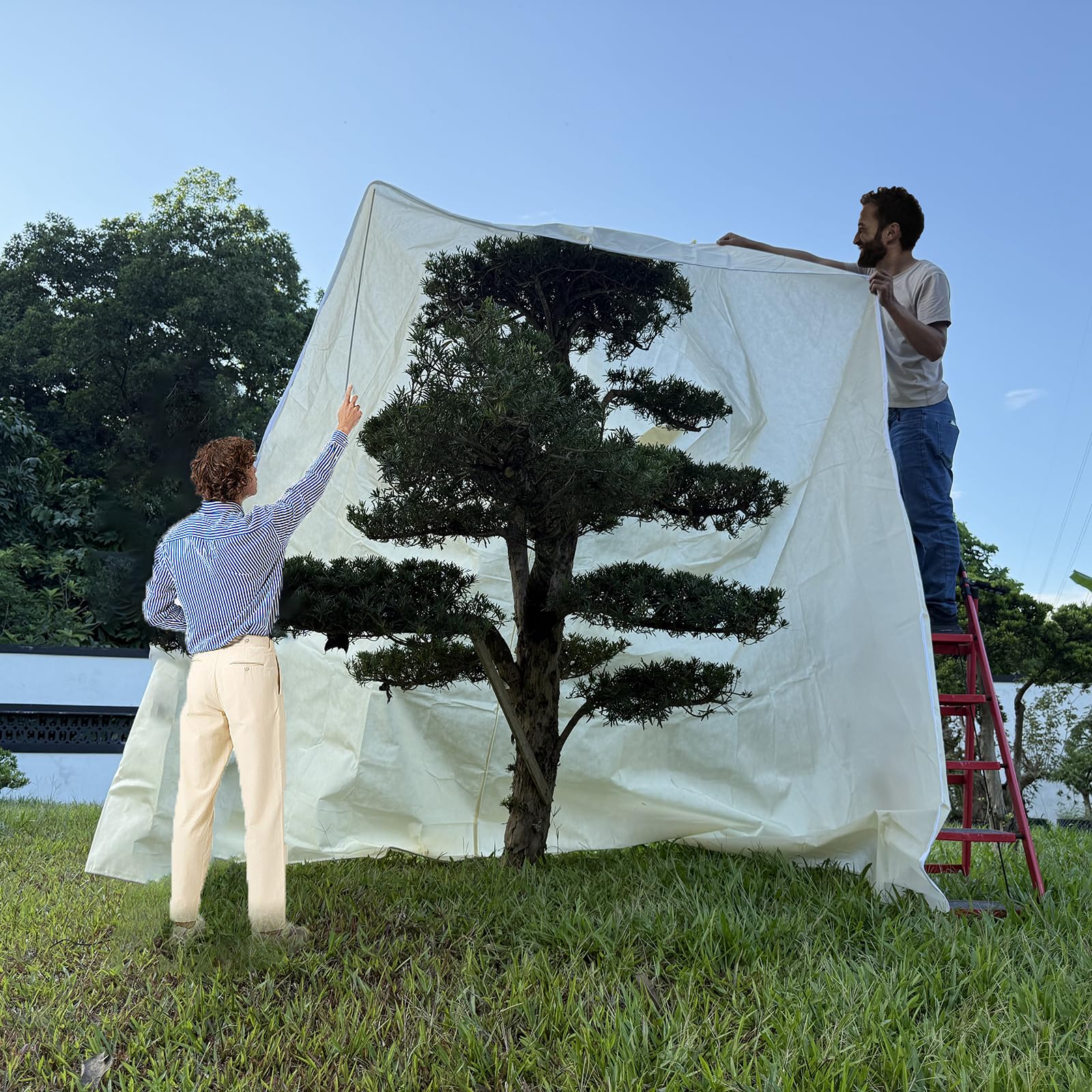 Large Plant Protector, Frost Proof Fabric Drawstring Bag Set, Extra Large Plant Frost Cover, Plant Insulation Cover for Garden Plants, Winter, 98?L x 142?H