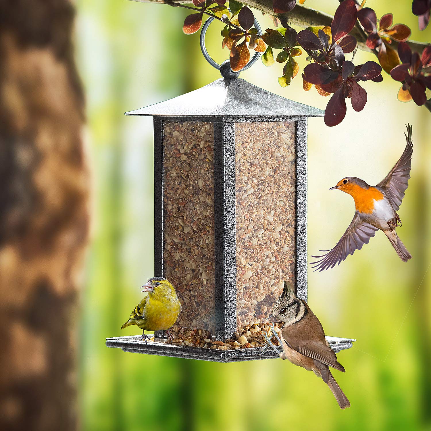 Paul's Mühle Premium Ganzjahresfutter für Wildvögel mit Extra Hohem Fettanteil, Vogelfutter zur Ganzjahresfütterung, Senkrechtstarter, 10 kg