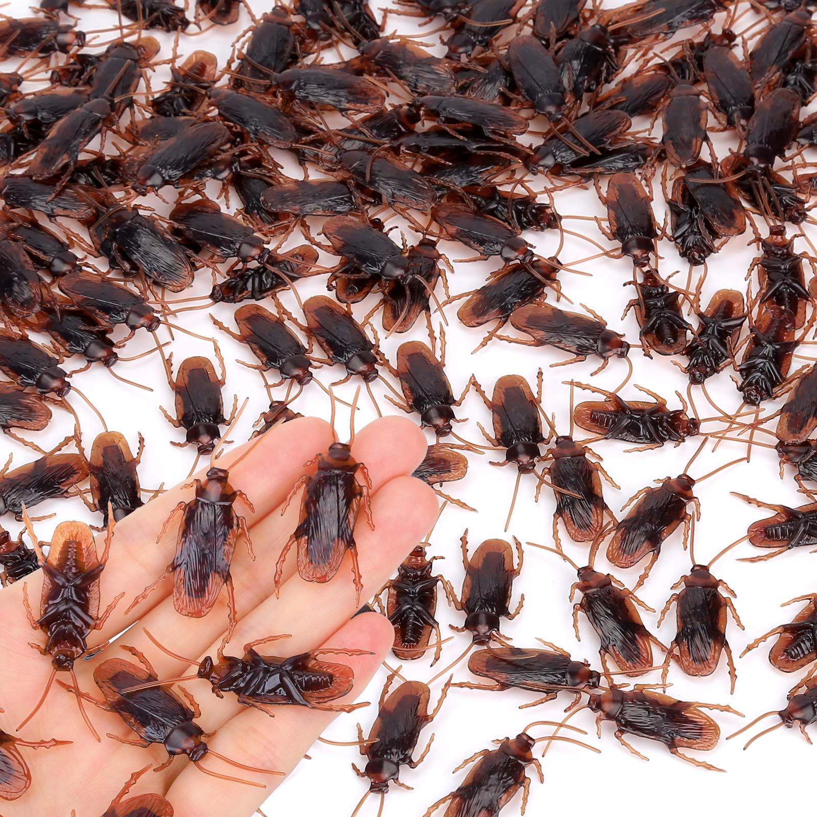 Riomeira Wirrabilla Fake Cockroaches, Pretty Realistic Faux Roaches