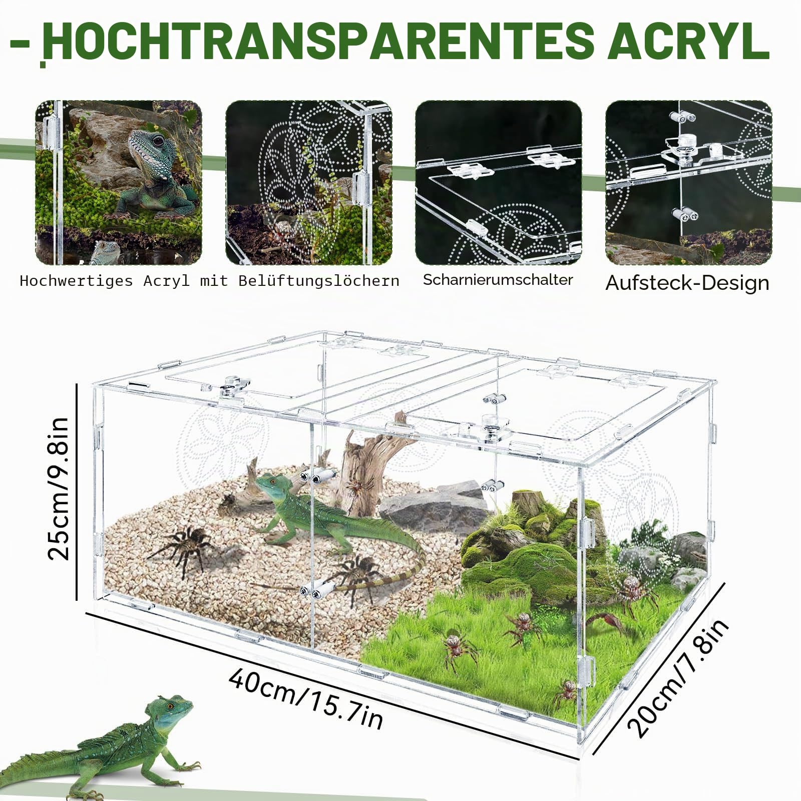 Reptilien-Terrarium, 15.75*7.87*9.84in Acryl-Terrarium mit zwei Kammern für Spinnen, Reptiliengehege für kleine baumbewohnende Reptilien