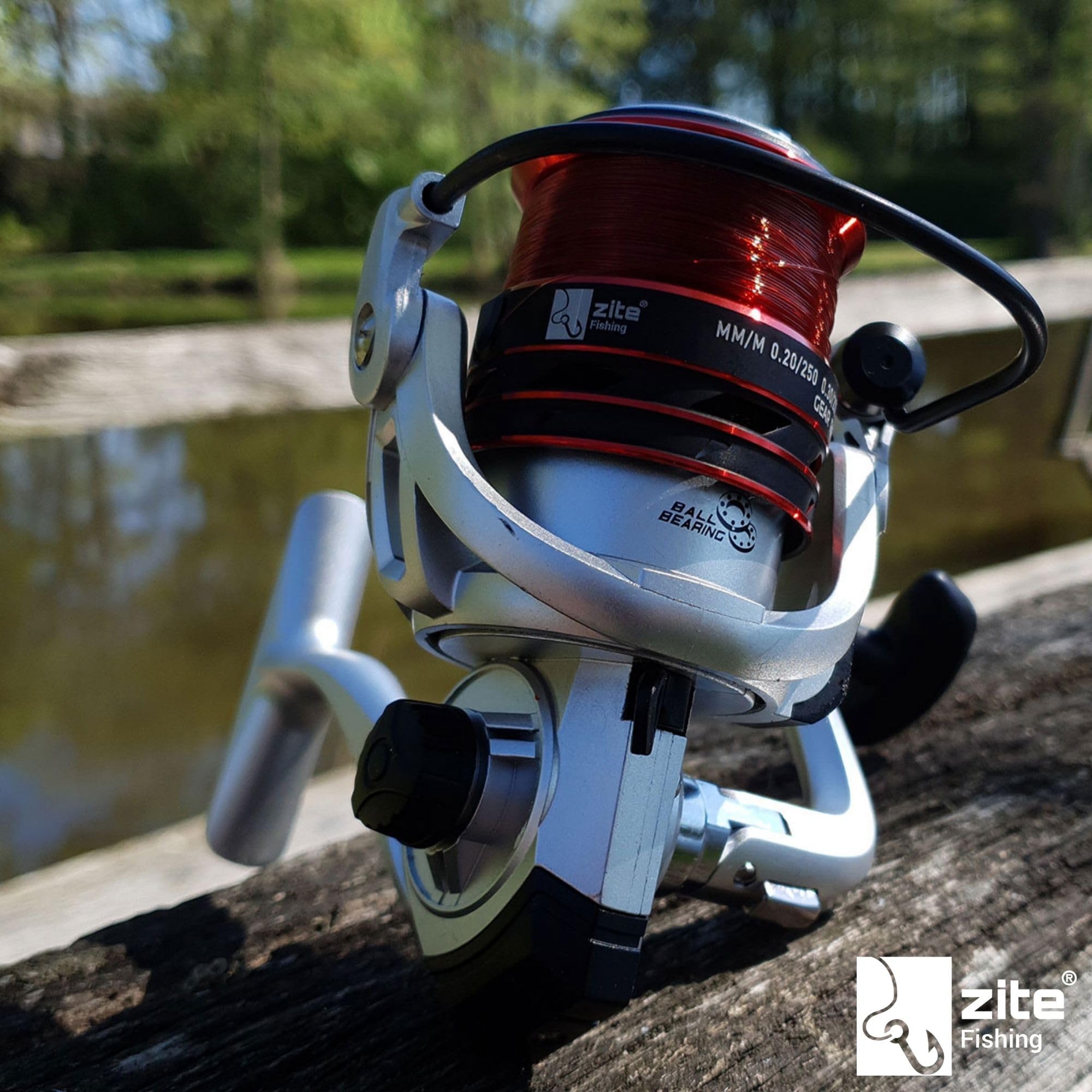 Zite Fishing Angelset Aal-Angeln | Teleskop-Rute, Rolle bespult & Mehr