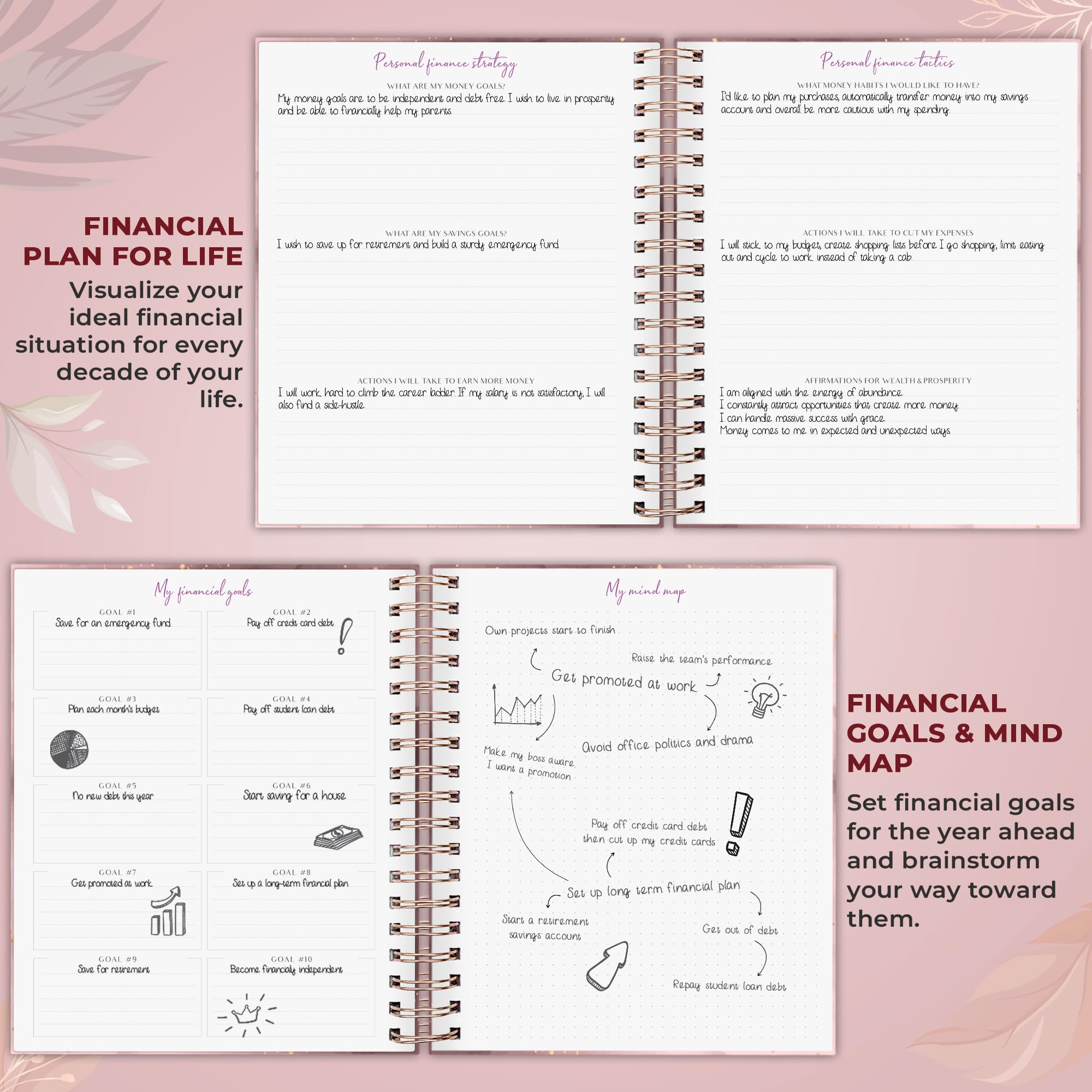 PLANBERRY Grande pianificatore di bilancio e organizzatore mensile per banconote con tasche, libro di budget, tracker finanze e spese, 20,3 x 23,4 cm (oro rosa)