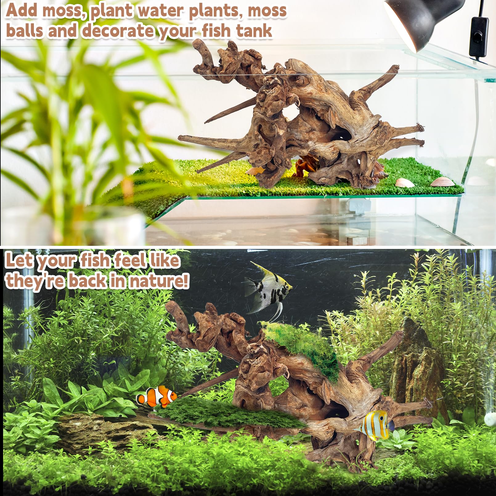PINVNBY Madera natural para acuario, decoración de peces, ramas variadas, accesorios para tanque de dragón, decoración de terrario, paquete de 4