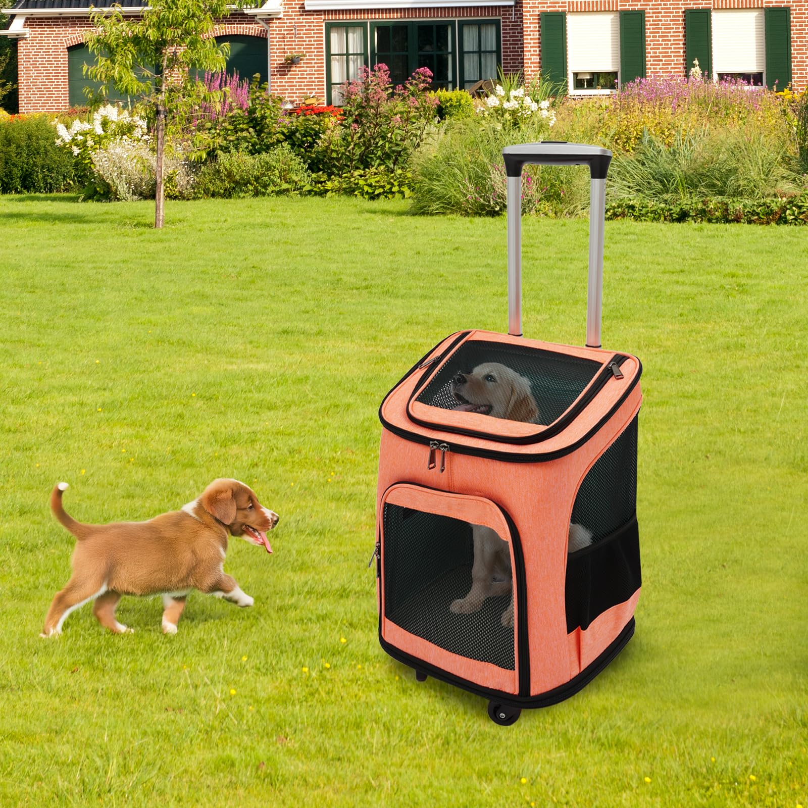 Zaino per animali domestici con ruote, zaino per cani con trolley 2 in 1 fino a 9 kg, zaino trolley per cani e gatti (arancione)