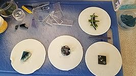 Review Image by sassyskis sassyskis