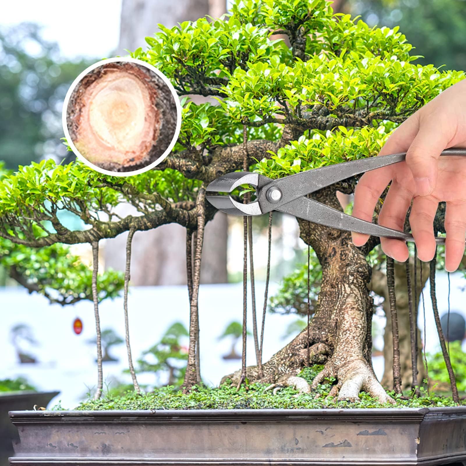 HERCHR Tronchesi Bonsai,Tronchese per Rami,Bonsai Cutter da in Acciaio al Carbonio,Ronchese Concava dal Taglio Dritto per Bonsai,Strumenti per Bonsai,Cesoia da Giardino Multifunzionale 21,3x5,6 cm