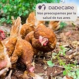 Ver la foto 7