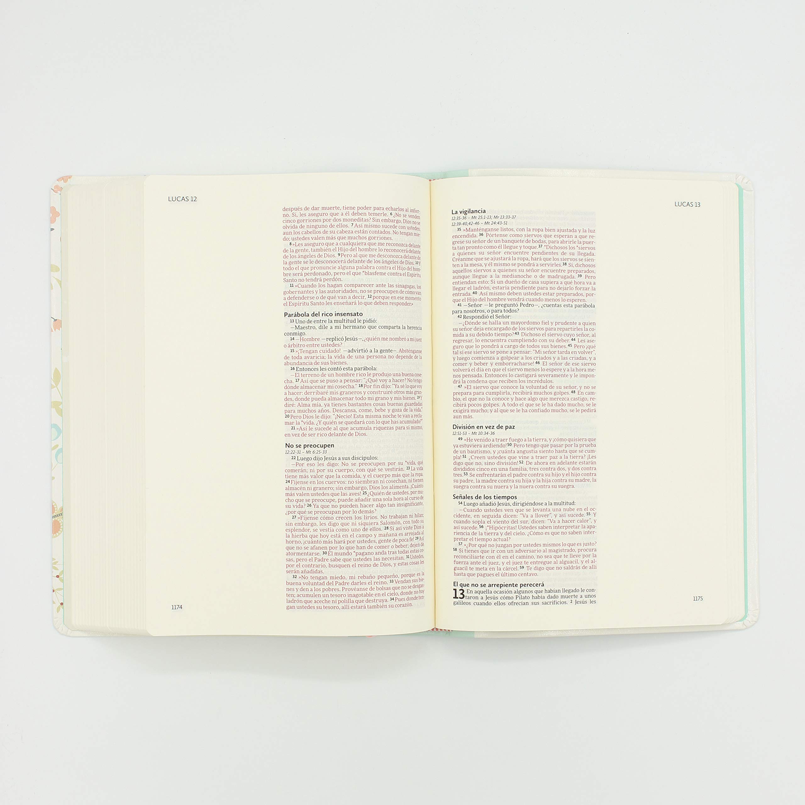 Biblia NVI Ilustra Tu Fe Piel Italiana