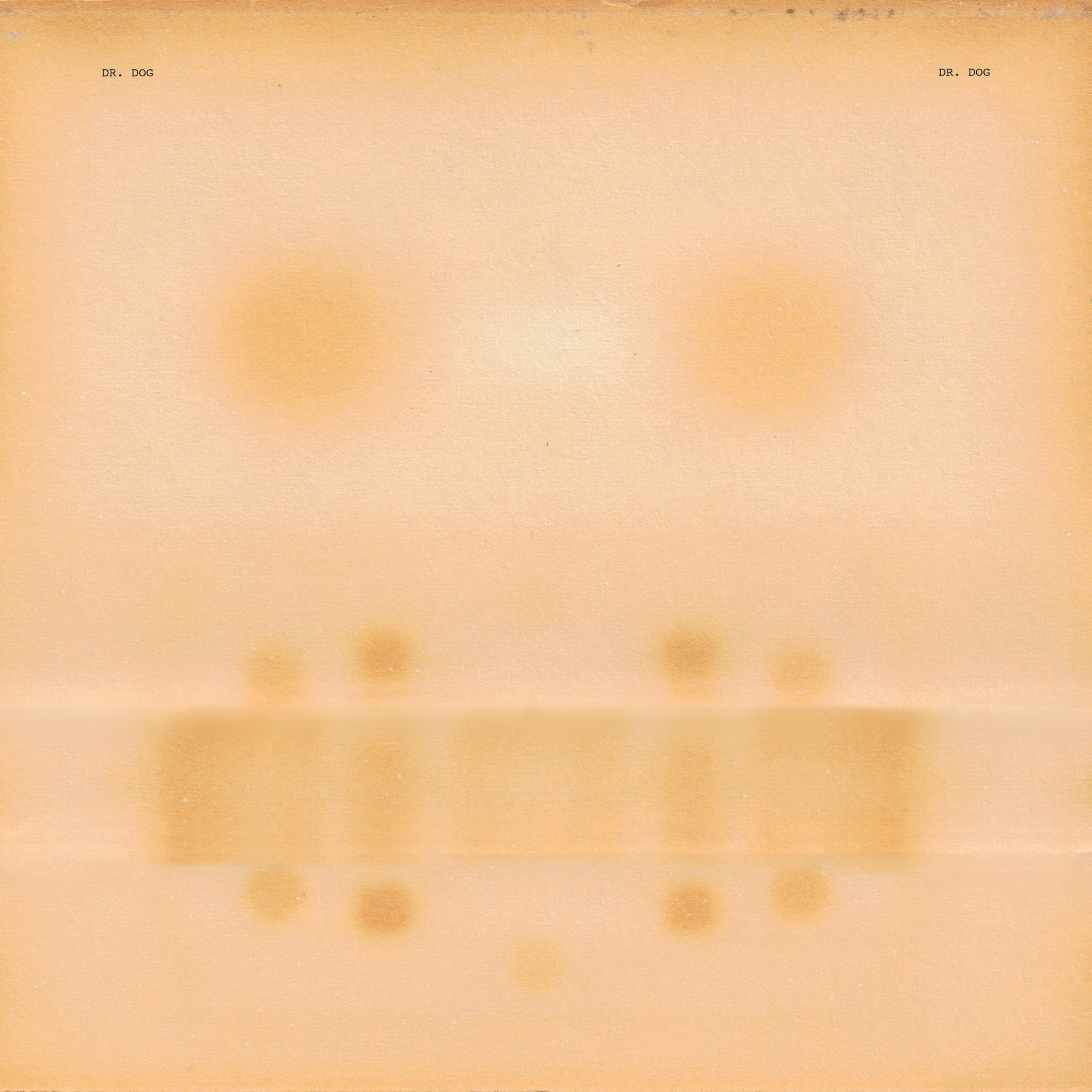 DR DOG - Dr Dog - Vinyl (LP)