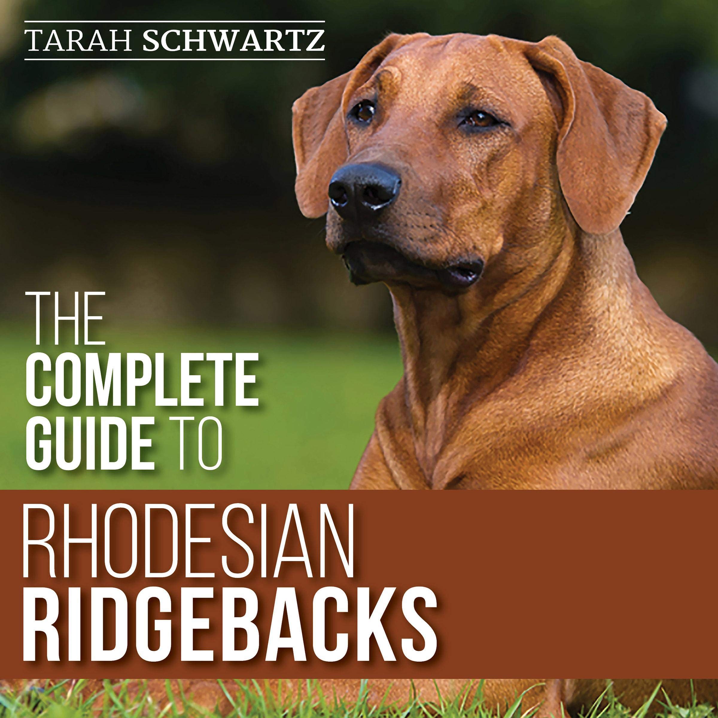 The Complete Guide to Rhodesian Ridgebacks