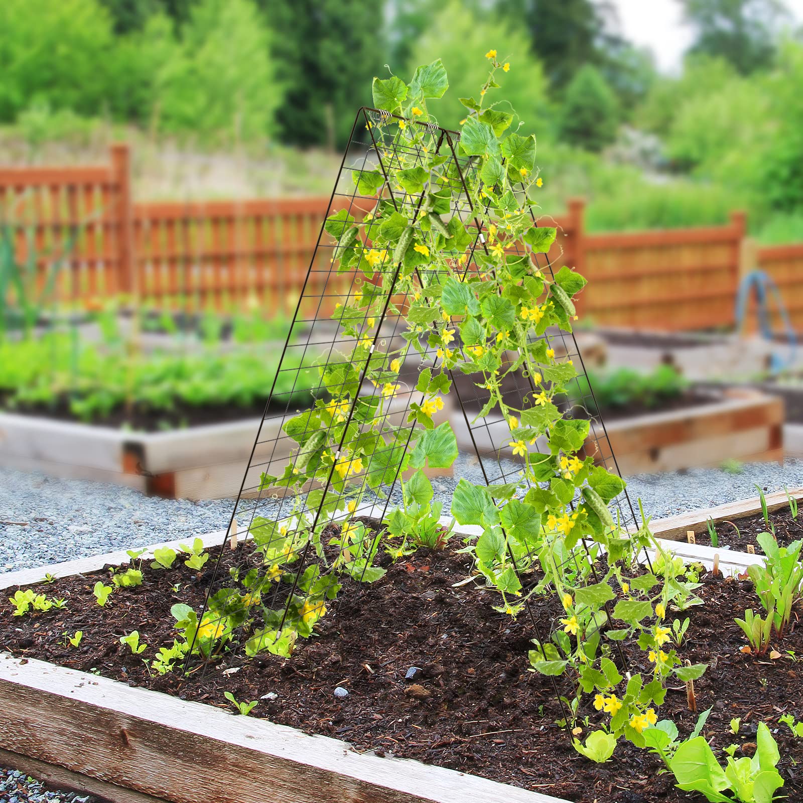 GOPLUS Ogórek podpora dla roślin pnących, metalowa pergola z ramą A i siatką na pnącza, podpórka do roślin, do ogrodu, na ogórki, pomidory i groszek