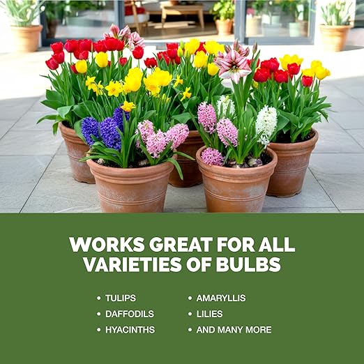 Fertilizante Líquido para Bulbos 8 oz - TPS Nutrients miniatura 5