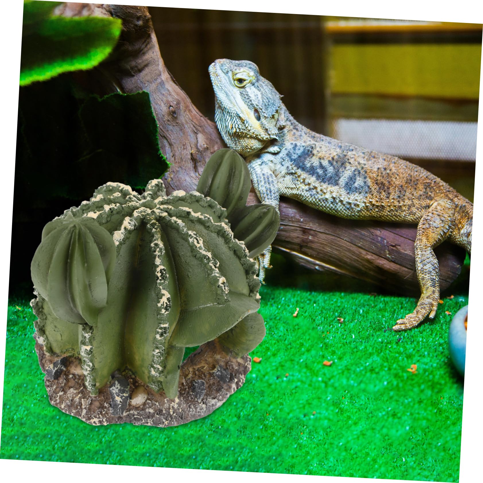 BESPORTBLE 4piezas Cueva Oculta De Cactus para Reptiles Refugio Decorativo De para y Serpientes Multiusos para Terrario y Hábitat Natural