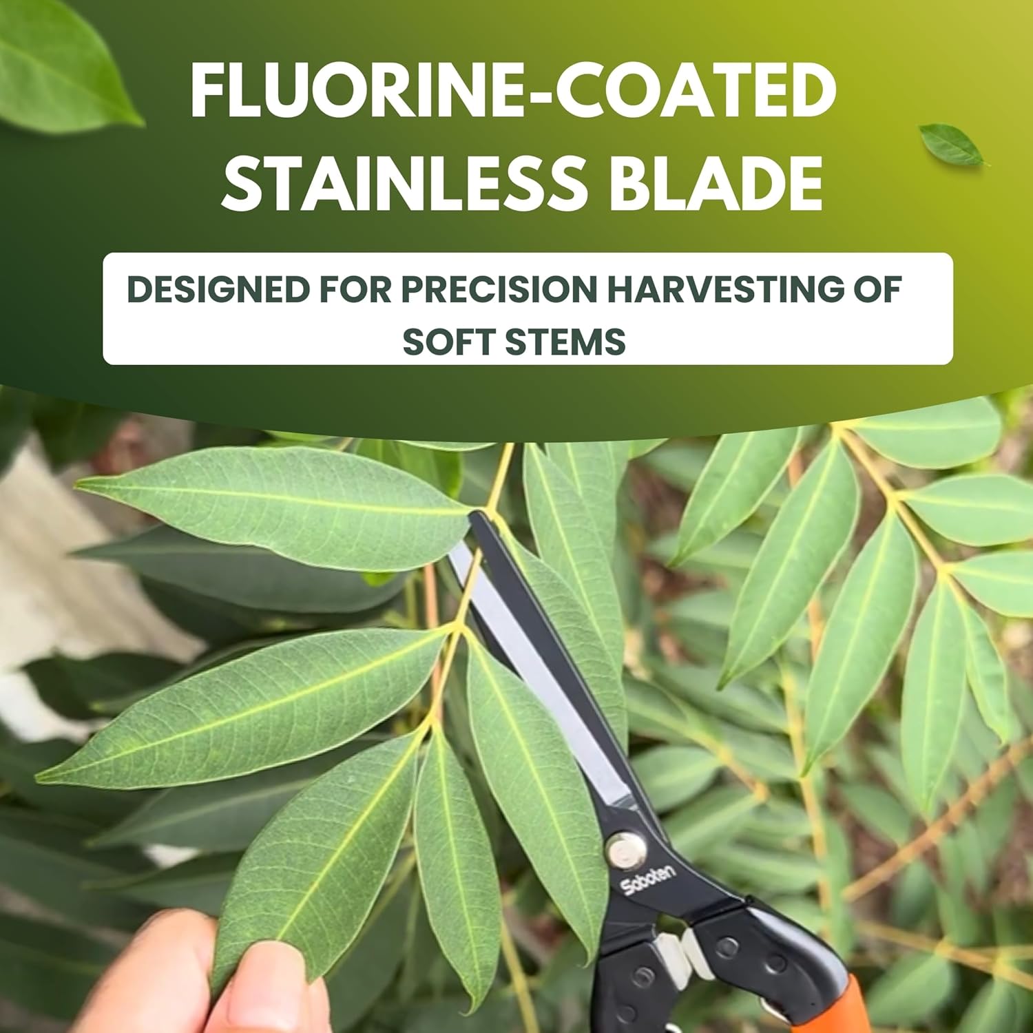 Saboten 7.9" Professional Japanese Harvesting Shears, Straight Precision Blade, Black Fluorine-Coated Stainless Steel, Spring-Loaded, Shock-Absorbing Grip, Safety Lock, Made in Japan - Image 5