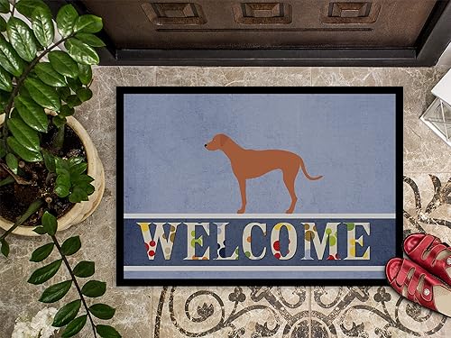 Miniatura 3 de Caroline's Treasures BB8277JMAT - Tapete de bienvenida Rhodesian Ridgeback de 24 x 36 pulgadas, tapete azul para puerta delantera, para interiores y