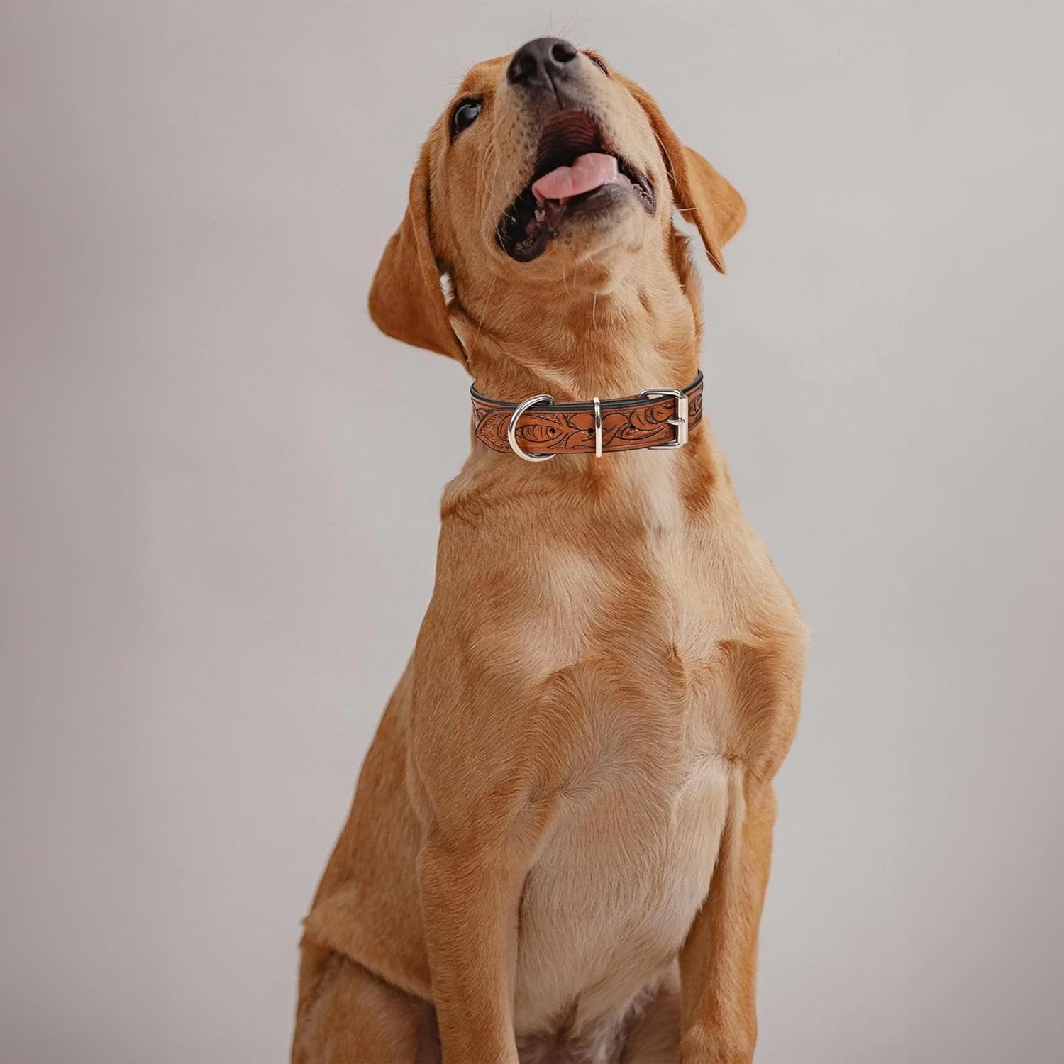 TARICO Adjustable Leather Dog Collar for All Breeds, Heavy Duty Non Padded Pet Collar with Engraved Design Durable Metal Buckle - Tan (Medium: Fits 15–19" Necks)