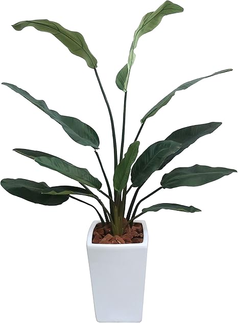 Amazon 神戸花物語 フェイクグリーン タビビトノキ 扇芭蕉 トラベラーズパームポット 150cm 白鉢 陶器製 Ct触媒 観葉植物 造花 人工 観葉植物 人工観葉植物 オンライン通販 Amazon 神戸花物語 フェイクグリーン タビビトノキ 扇芭蕉 トラベラーズパームポット 150cm 白鉢 陶器製 Ct触媒 観葉植物 造花 人工 観葉植物 人工観葉植物 オンライン通販