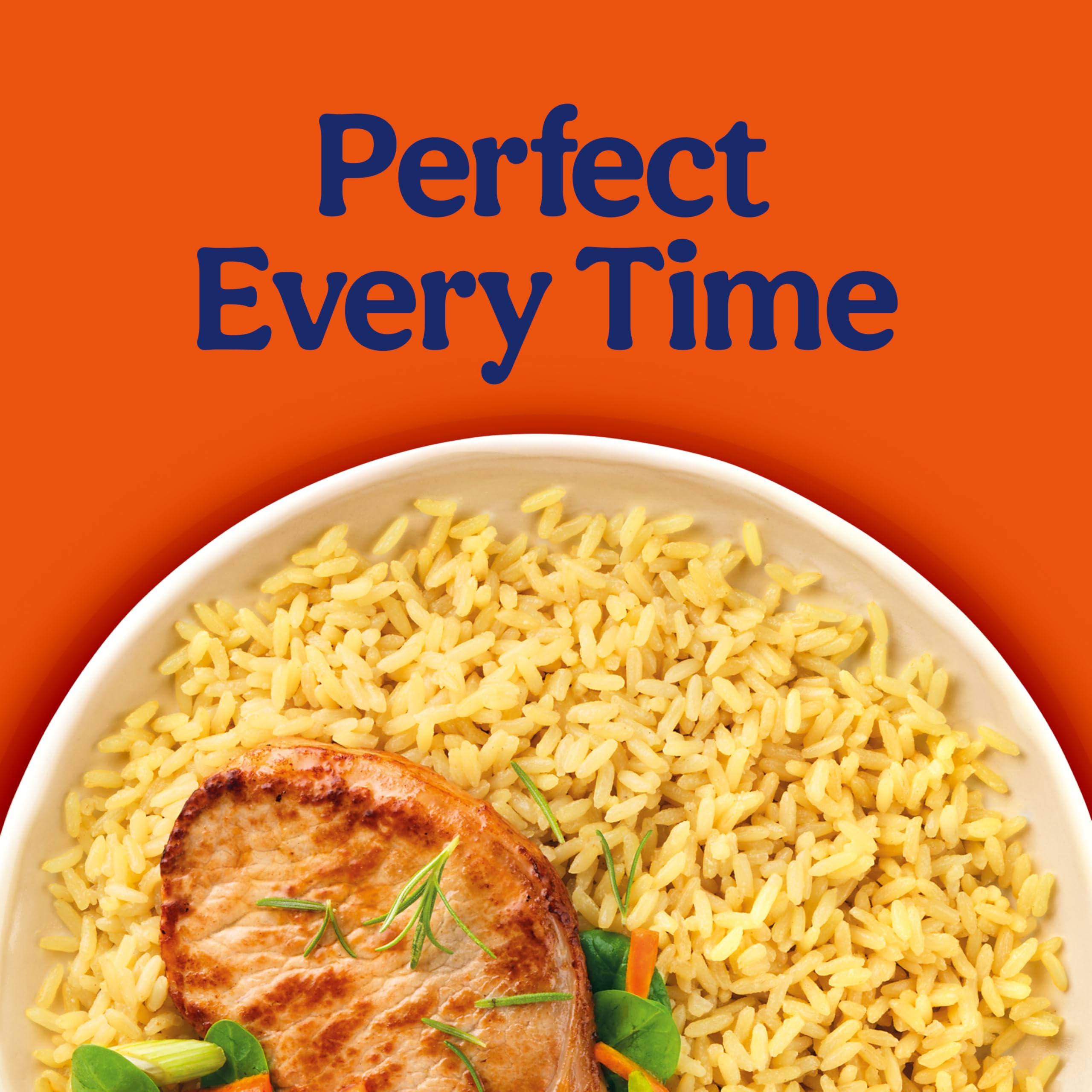 BEN'S ORIGINAL Ready Rice Butter and Garlic Flavored Rice, Easy Dinner Side, 8.8 oz Pouch (Pack of 12)