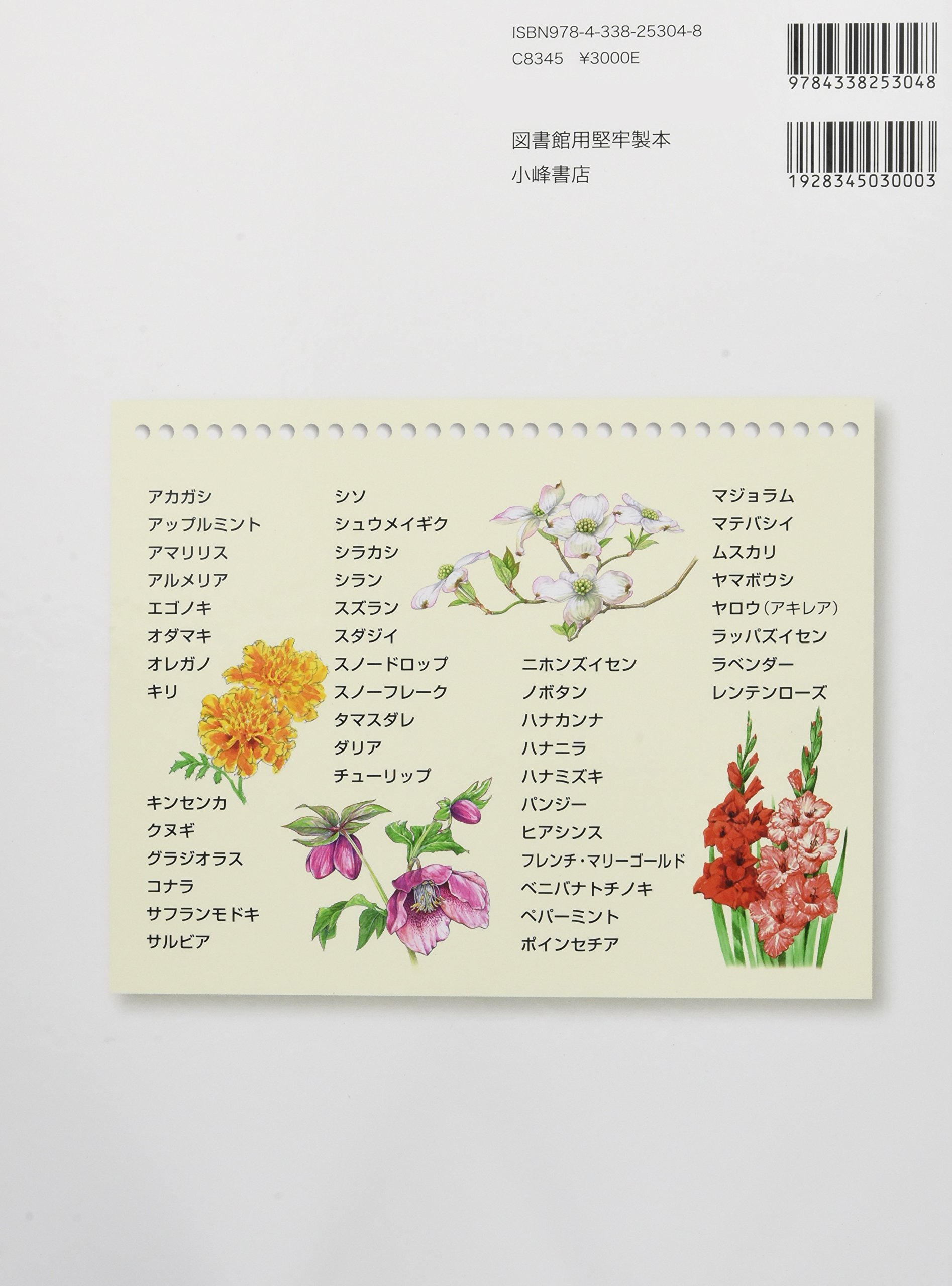 Amazon.co.jp: 松原 巌樹: 本、バイオグラフィー、最新アップデート