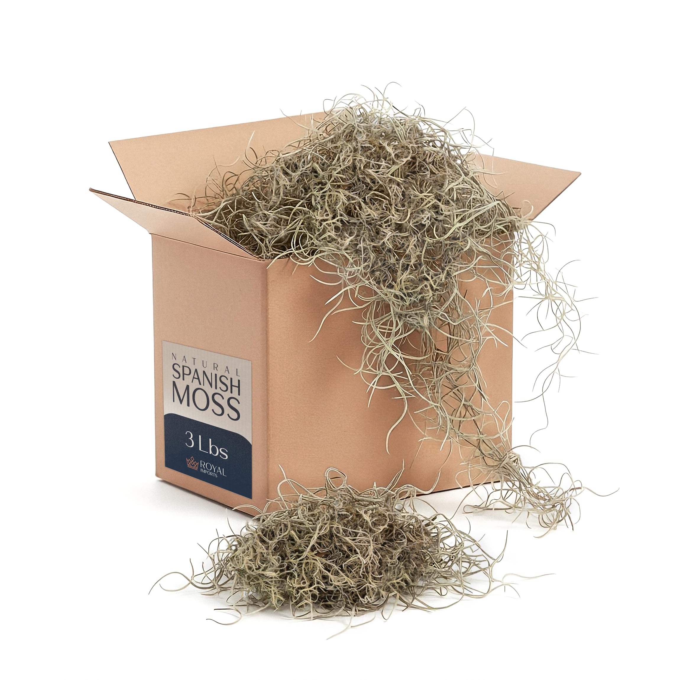 Royal Imports Preserved Natural Spanish Moss, Fresh Dried Shredded Loose Chunks, 3 LB Bulk Case