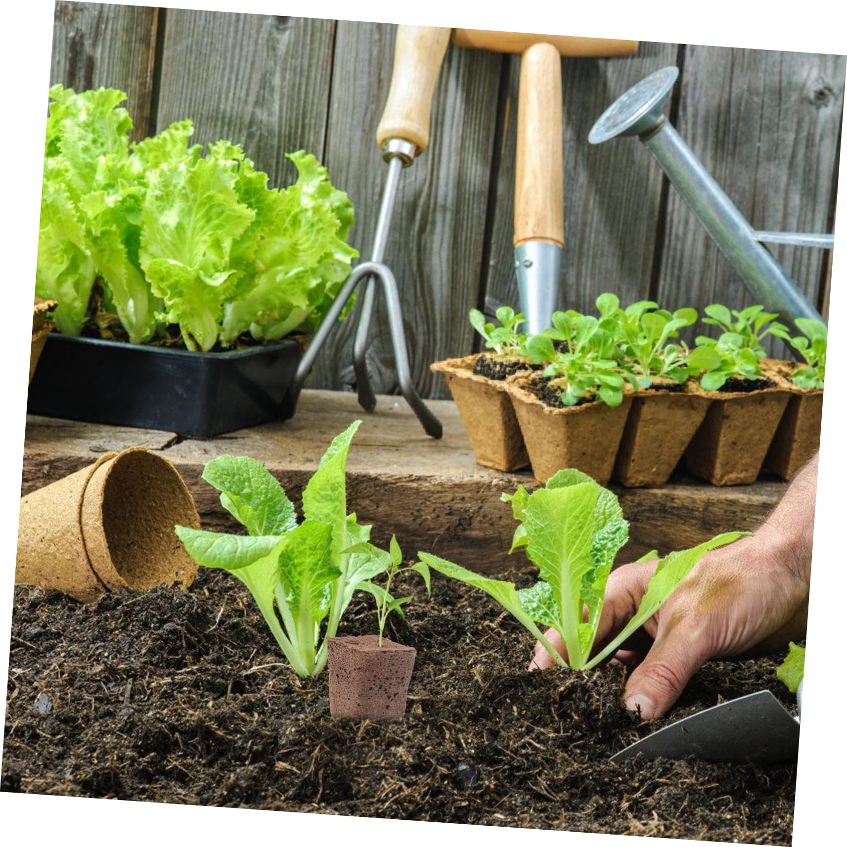 BESPORTBLE 200pièces Cubes De Culture Hydroponique Blocs De Démarrage pour Accessoires De Jardinage Idéals pour Plantes sans Sol