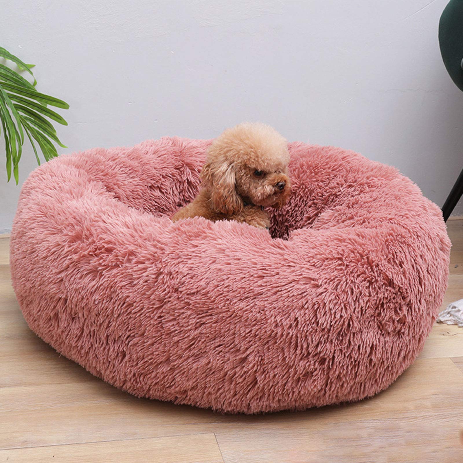 Lesure Donut – Caa Para Perros Pequeños, Caas Redondas Para Gatos De