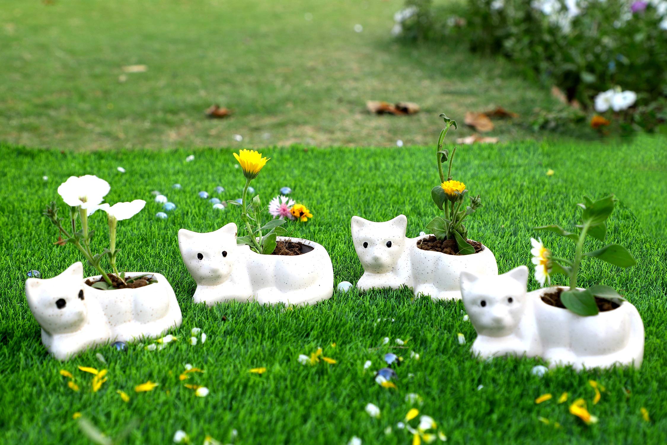 Lyallpur Stores Ceramic Pots for Plants Cat Shape - Small Size (White Color, 7 cm) Ceramic Planters for Indoor Plants, Living Room. [Plant Not Included, Pack of 4] (B091HT7D5L) Amazon Price History, Amazon Price Tracker
