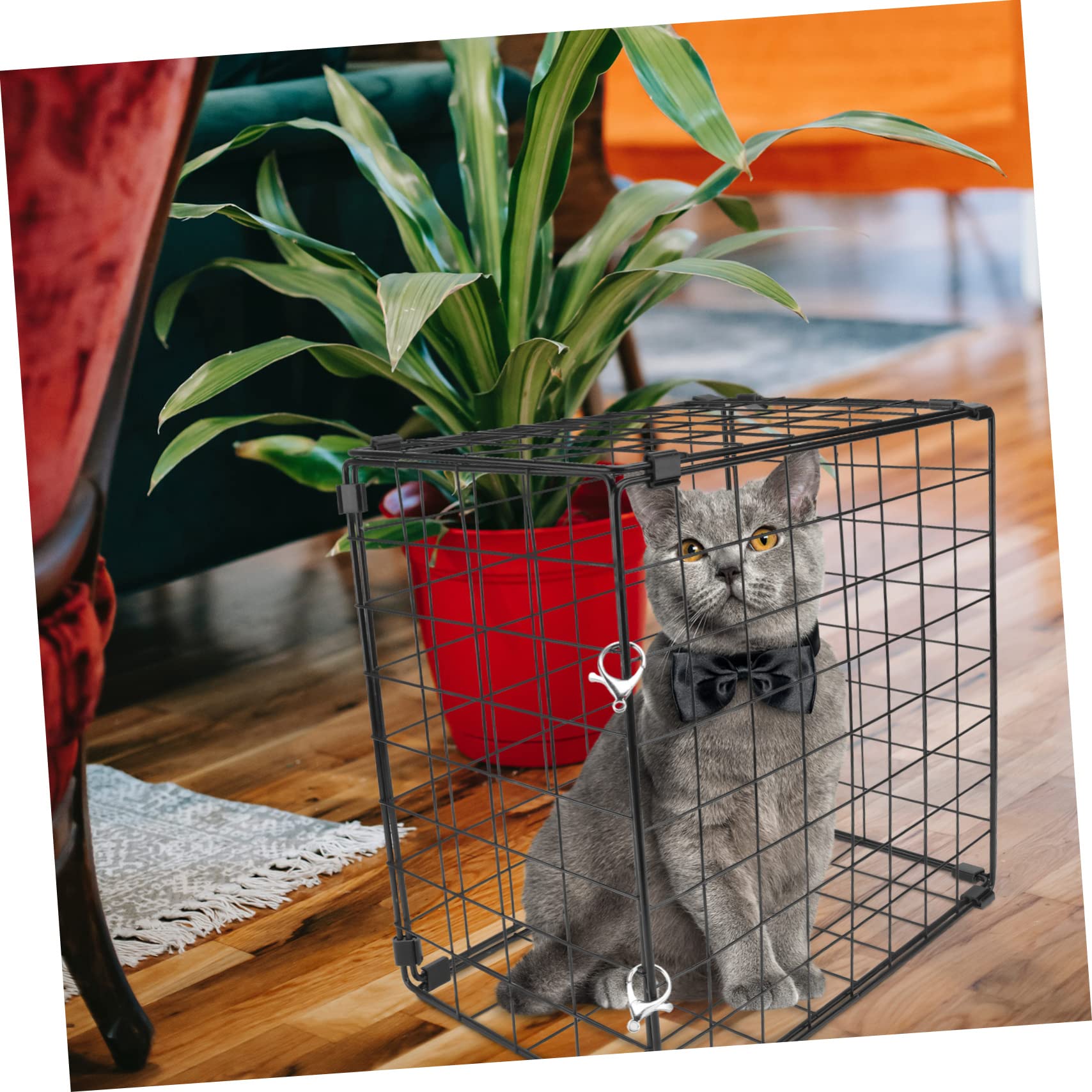 Jaula para Gatos Plegable de Hierro Resistente al Óxido para Coche y Hogar, Transportín Ligero para Mascotas hasta 3kg Diseño Compacto y Práctico