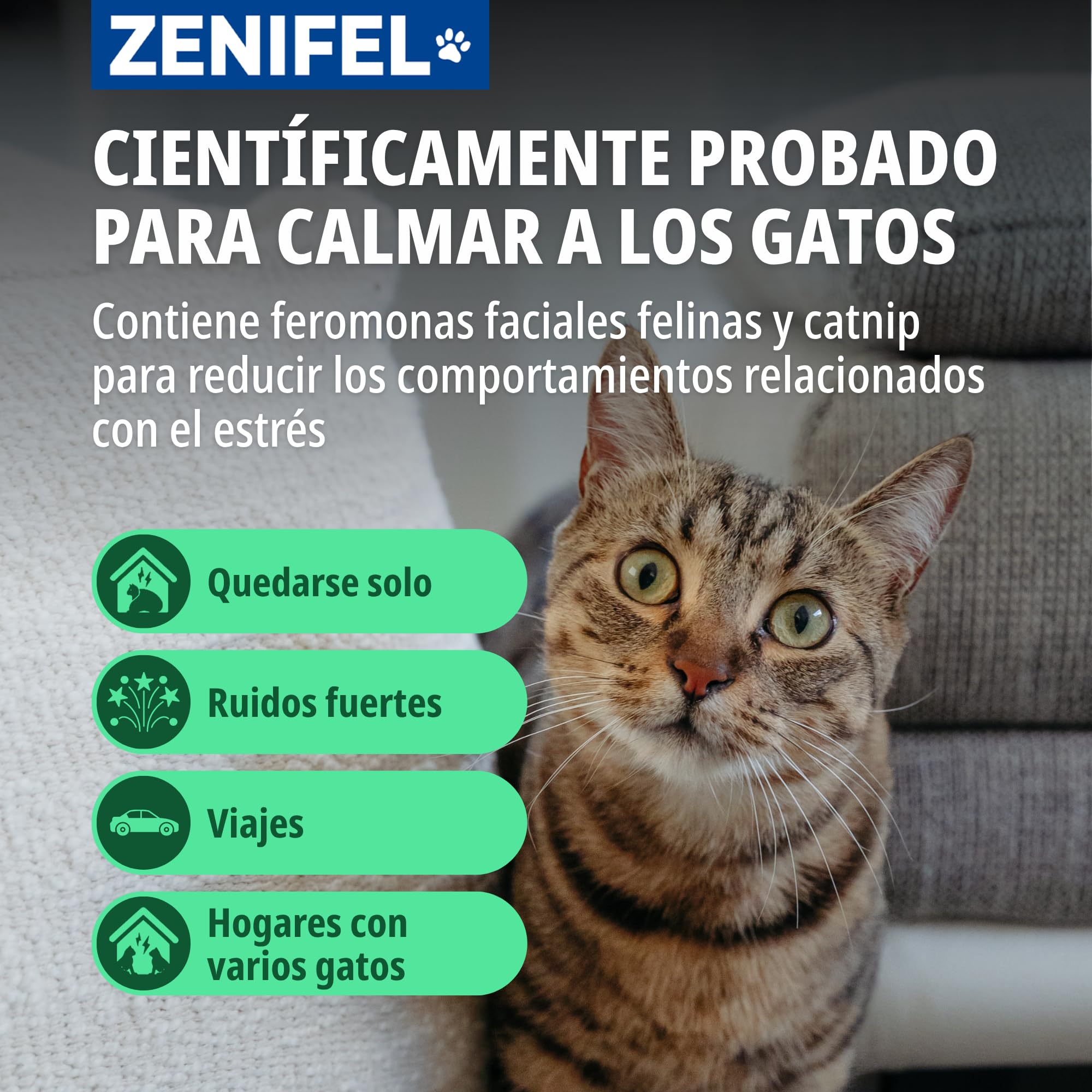 Virbac Zenifel Spray feromonas para Gatos - Antiestrés con feromonas y Catnip - Spray Relajante de acción rápida - 60ml