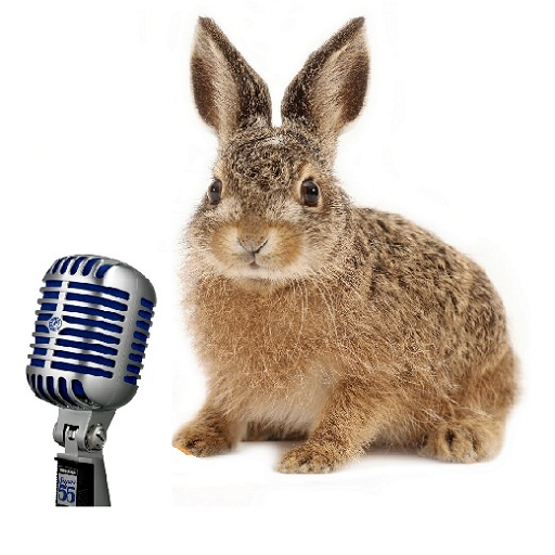Mr Rabbit Voice Recorder HQ - App on Amazon Appstore