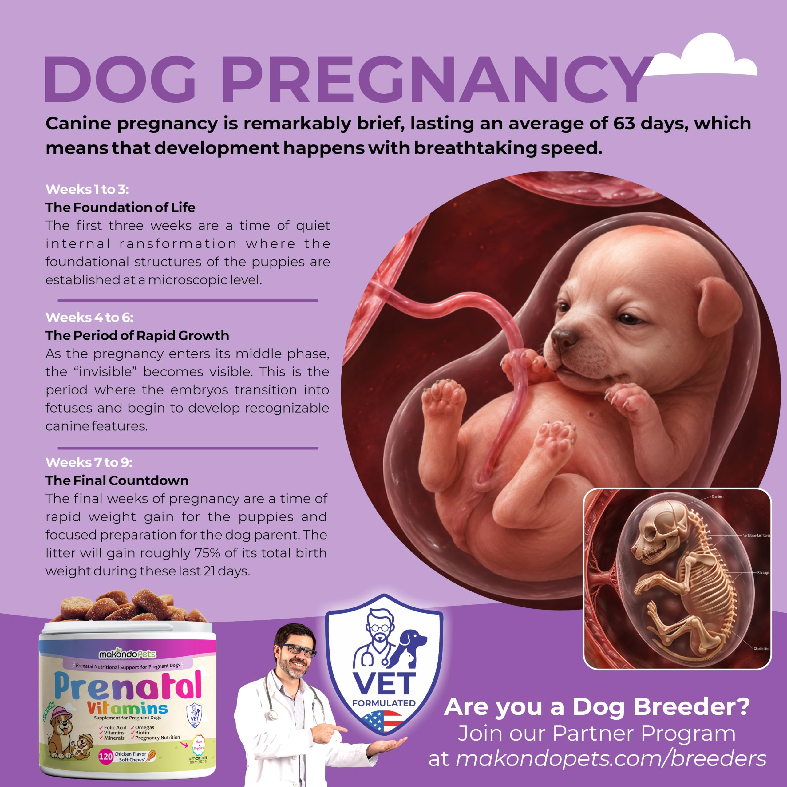Dog Prenatal Vitamins, 120 Soft Chews Multivitamin, Mom & Puppy Vitamins — Amazon image 3
