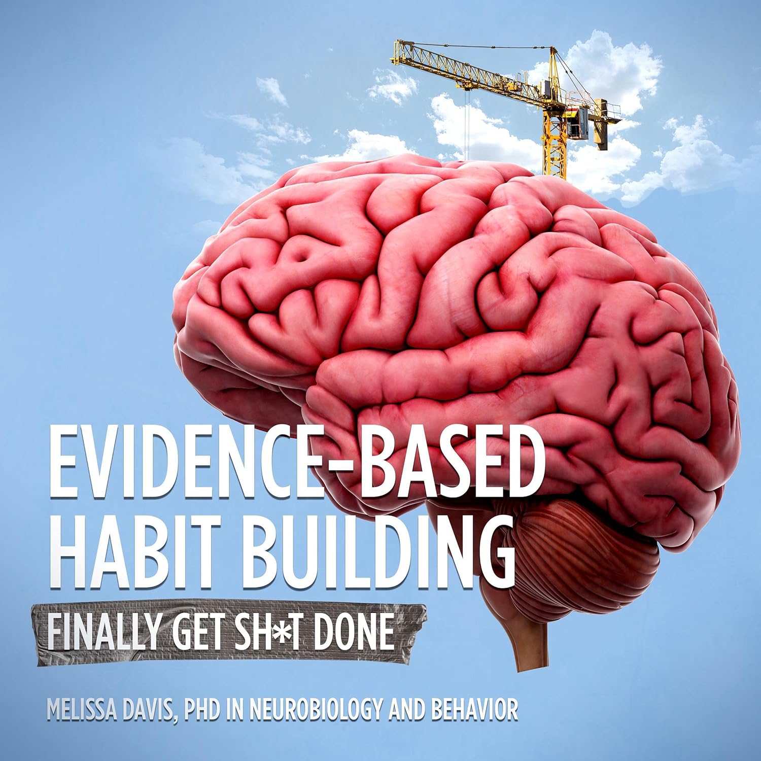 Evidence-Based Habit Building: Finally Get Sh*t Done
