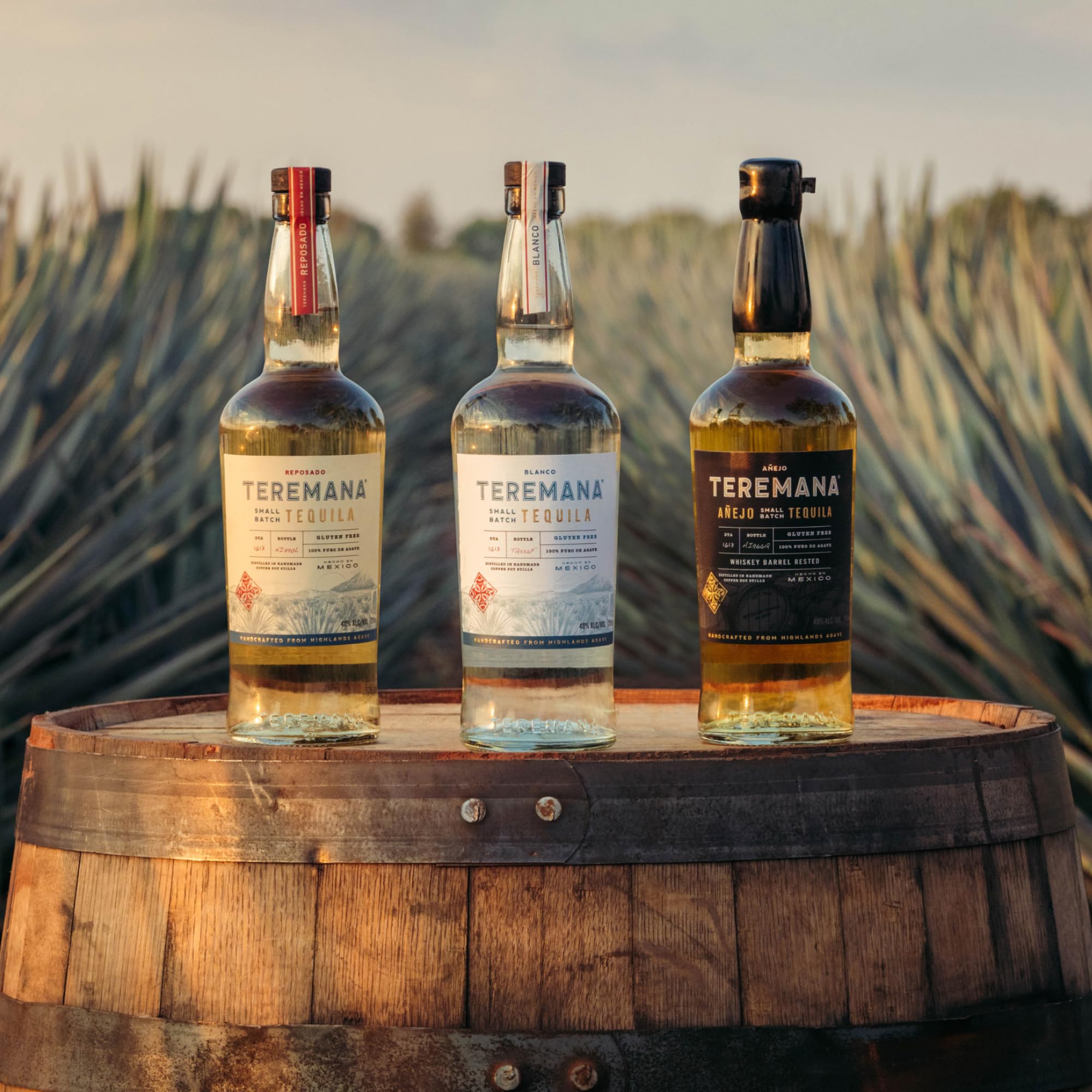 Teremana Blanco Tequila 0,7l 40% Vol. Small Batch Blaue Weber Agave