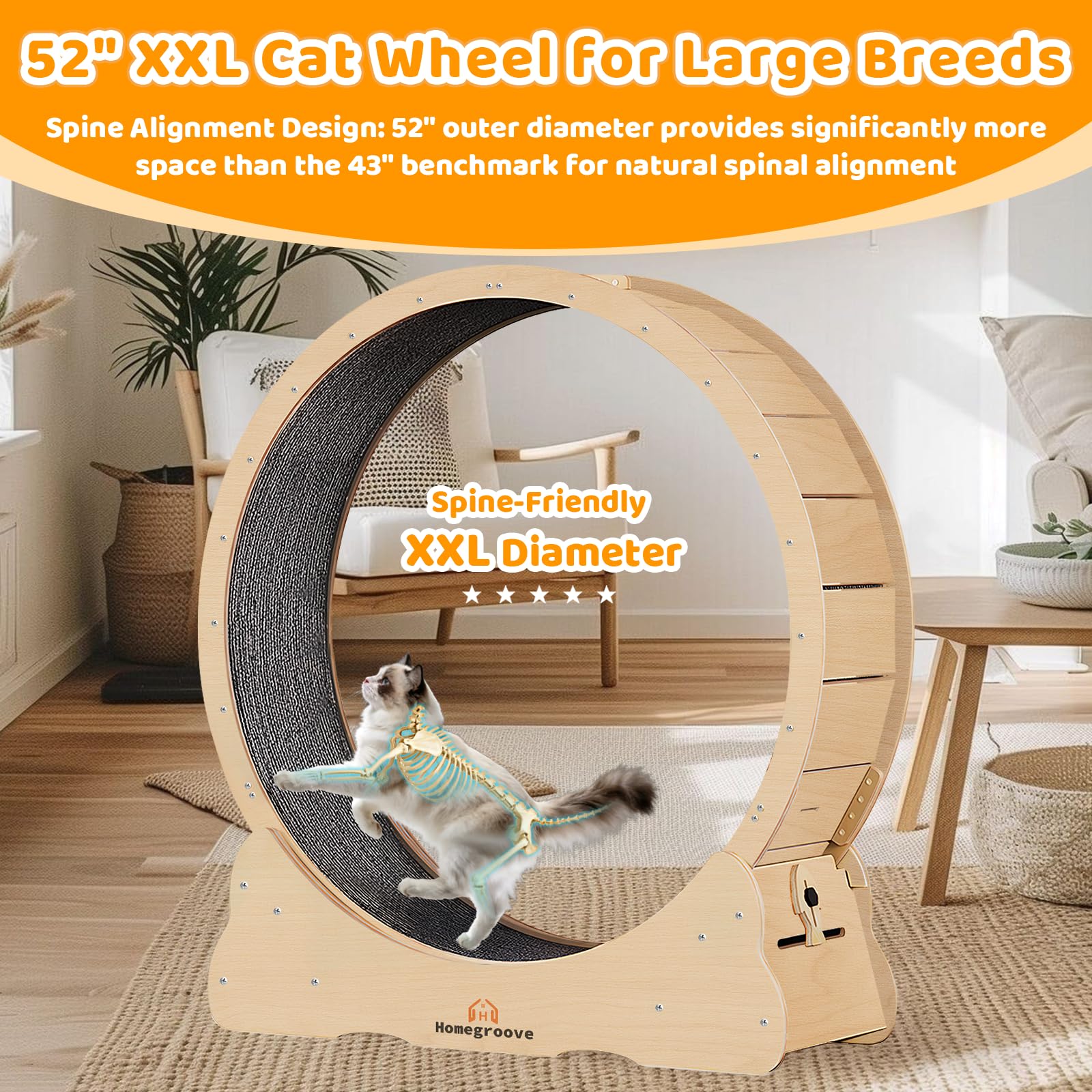 Homegroove Ruota per esercizi per gatti XXL, 132 cm, in legno massello, con blocco di sicurezza integrato, design di allineamento della colonna vertebrale, per interni di grandi dimensioni (XXL, legno