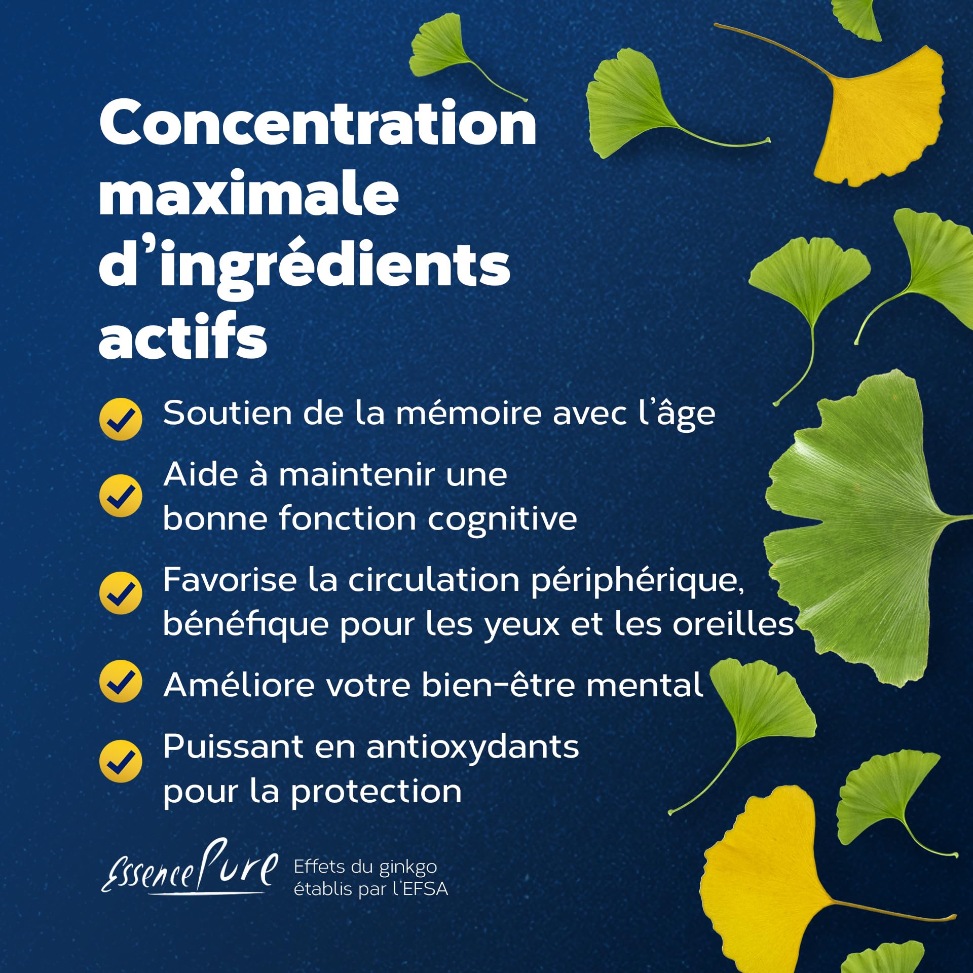 Ginkgo Biloba 6500 mg Essence Pure | Complément Alimentaire, 80 Gélules Végétales, 24% Ginkgoflavoglycosides, 6% Lactones | Soutient la Mémoire et la Circulation, Api-Nature